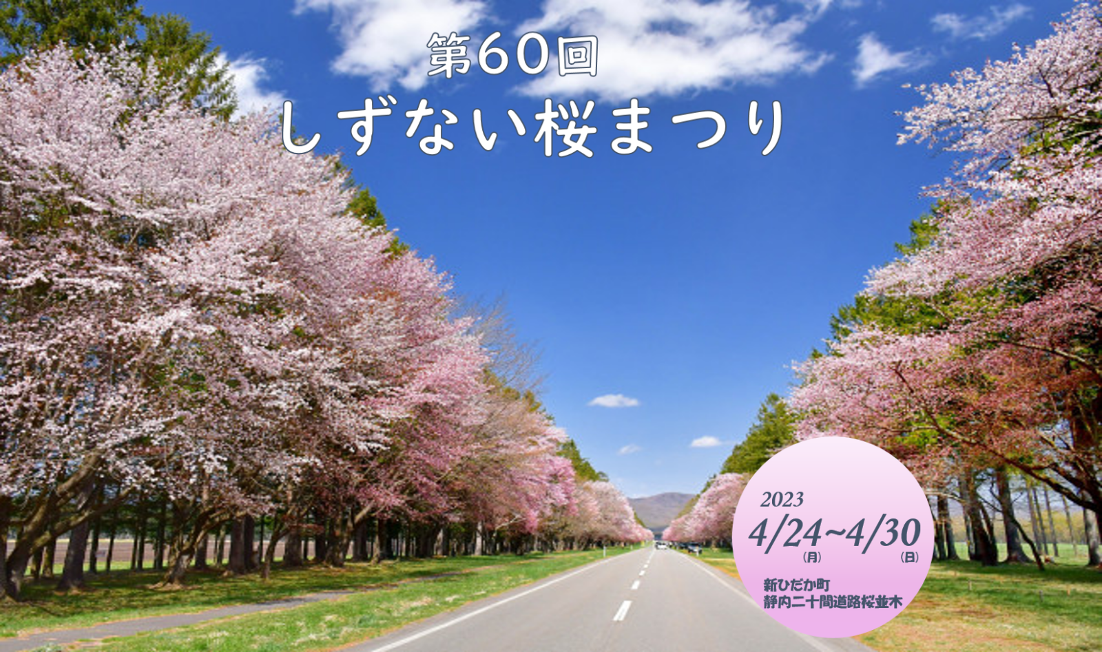 第60回しずない桜まつり」開催！ – 北海道ひだか観光ナビ