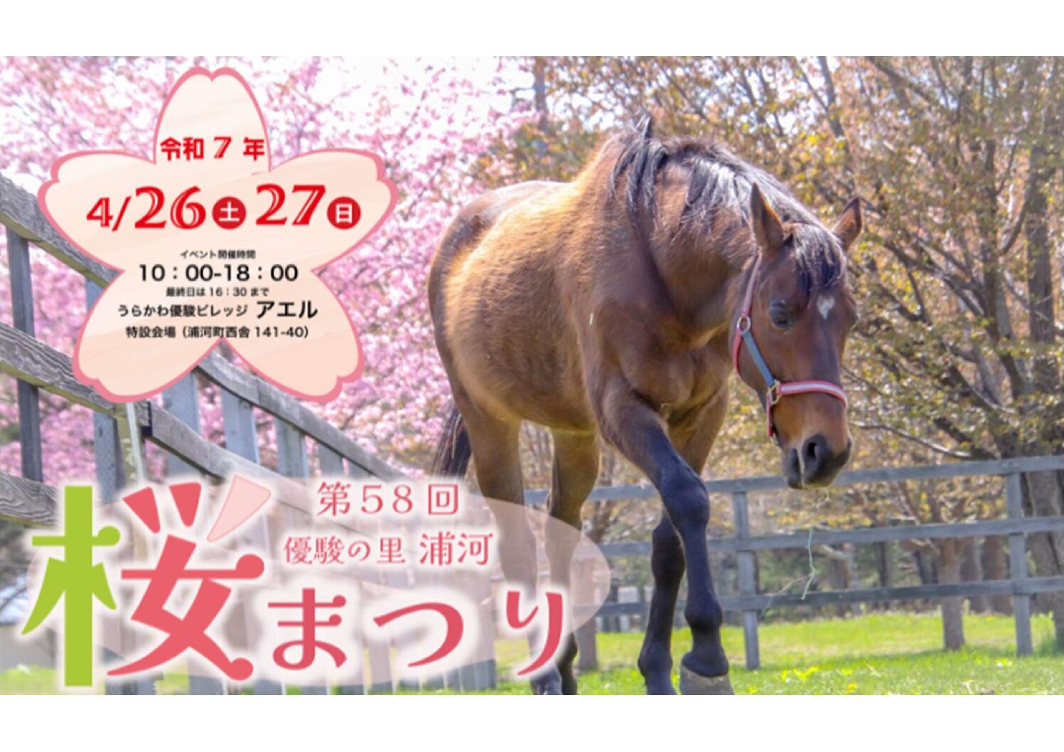 4c85c234076325c638e2c305400f29